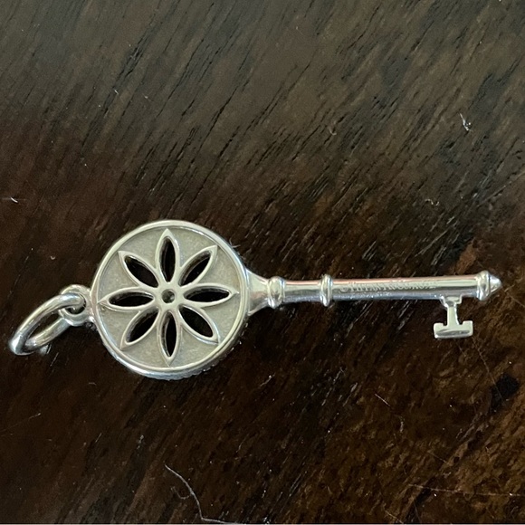 Tiffany Co Diamond Flower Necklace Nature Daisy Key Pendant Chain with 0.01 CTW - Picture 3 of 8